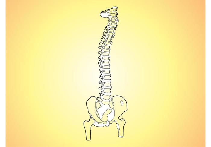 Medical Vector Illustration Medical Vector Illustration