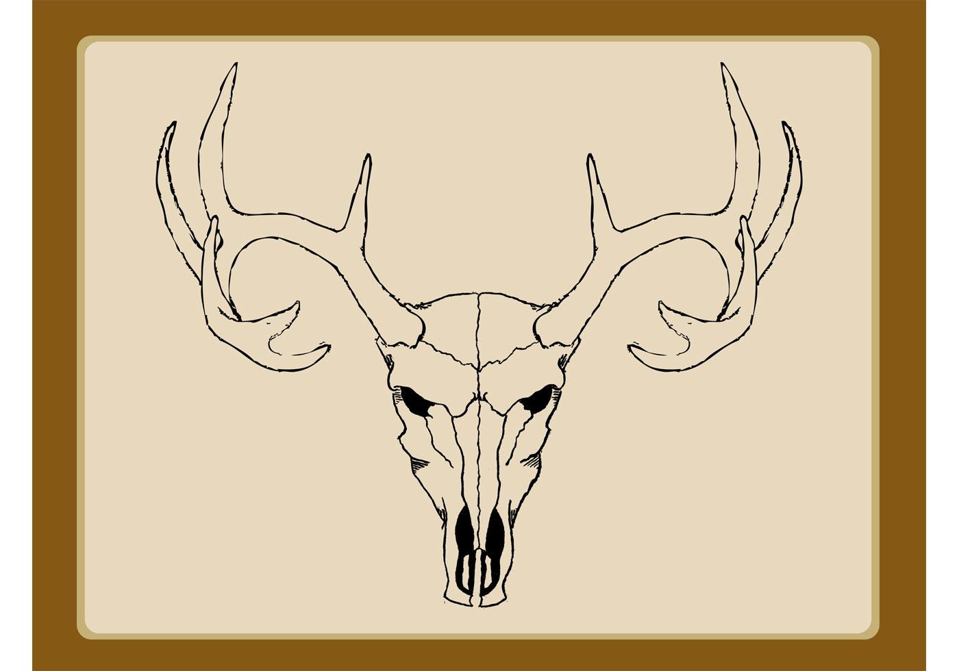Reindeer Skull Vector - Download Free Vector Art, Stock Graphics & Images