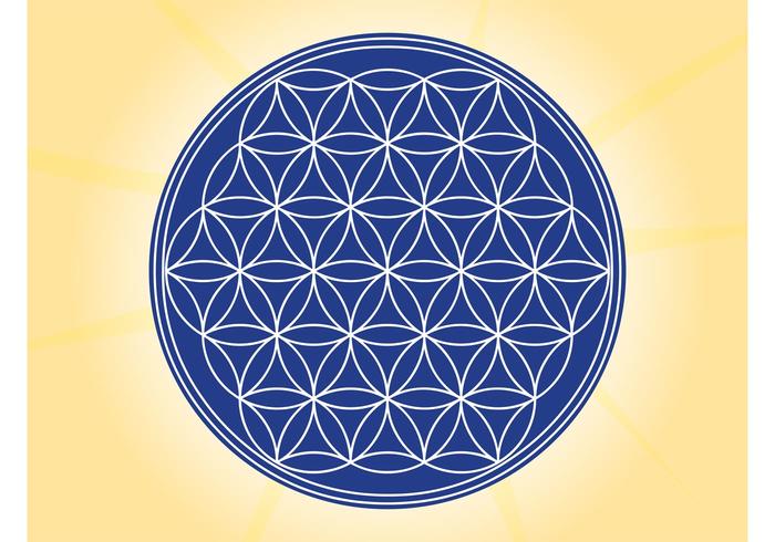 Floral Circle Floral Circle