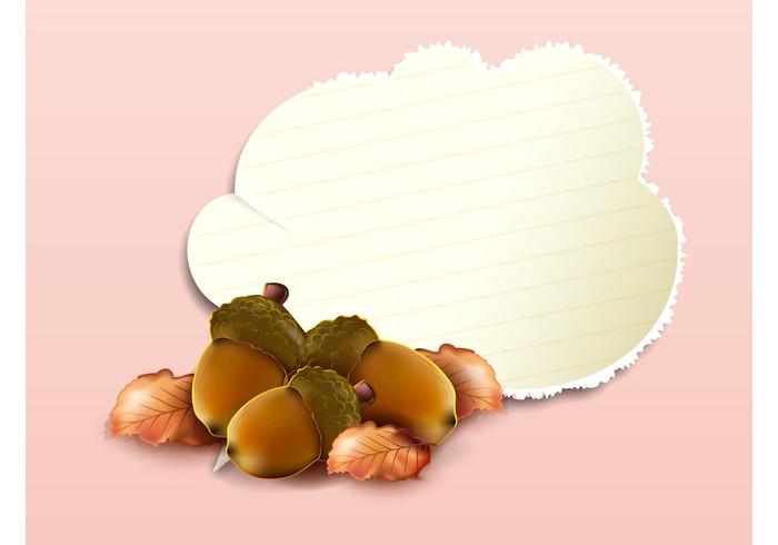 Acorns Design Acorns Design