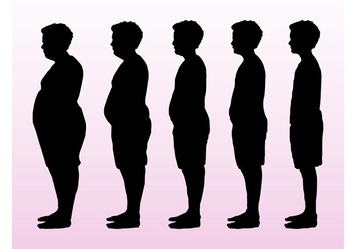 Body Types Vector Body Types Vector