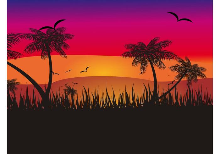 Tropical Sunset Tropical Sunset