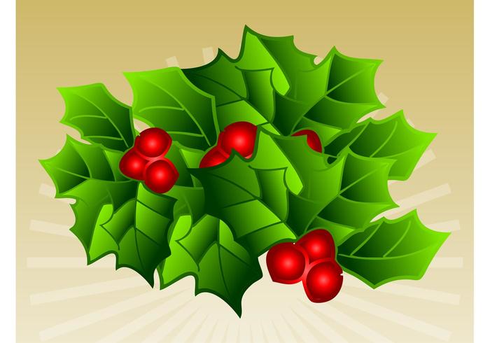 Mistletoe Mistletoe