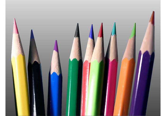 Colored Pencils Vector Colored Pencils Vector