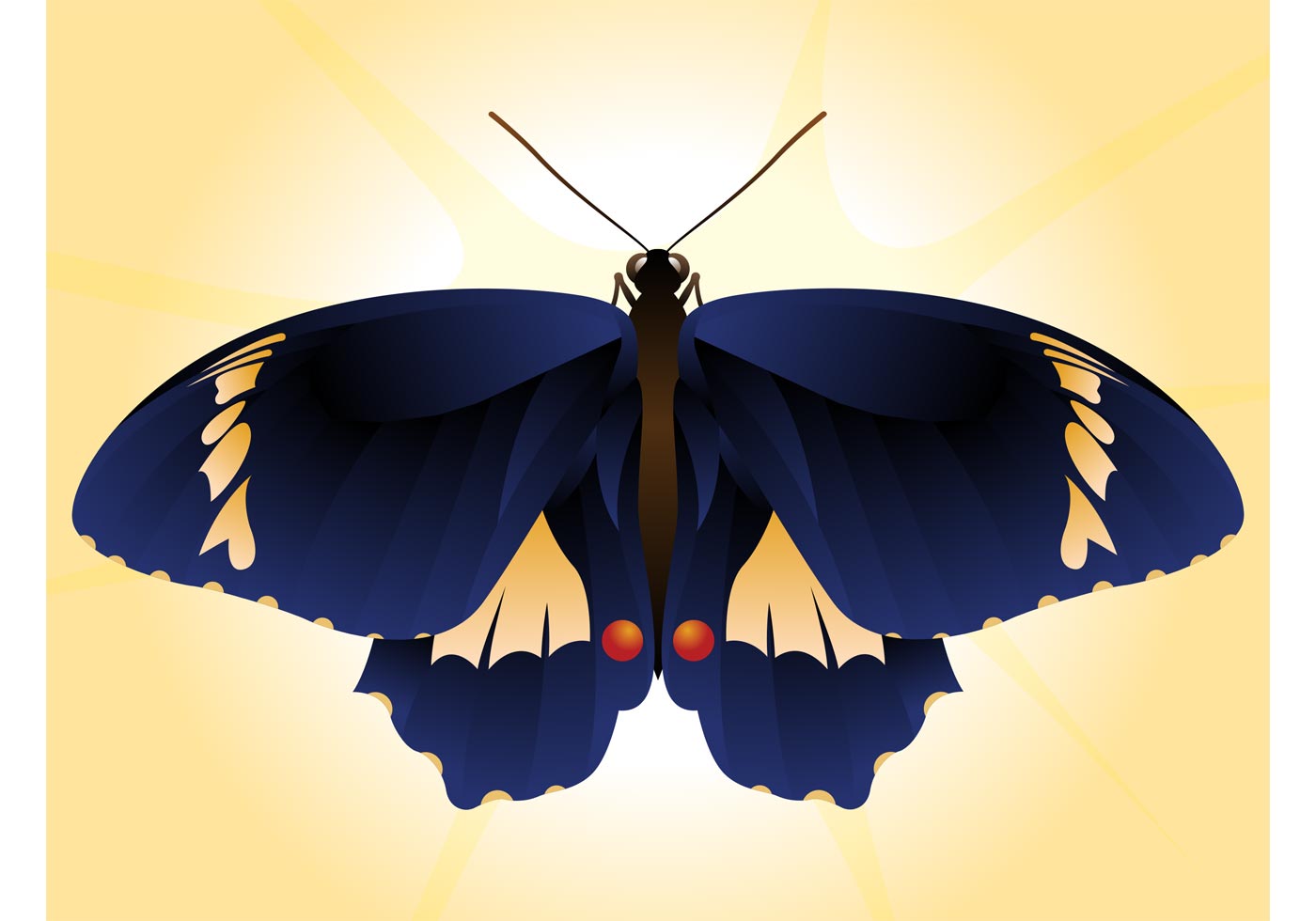 Free Free 320 Butterfly Background Svg SVG PNG EPS DXF File