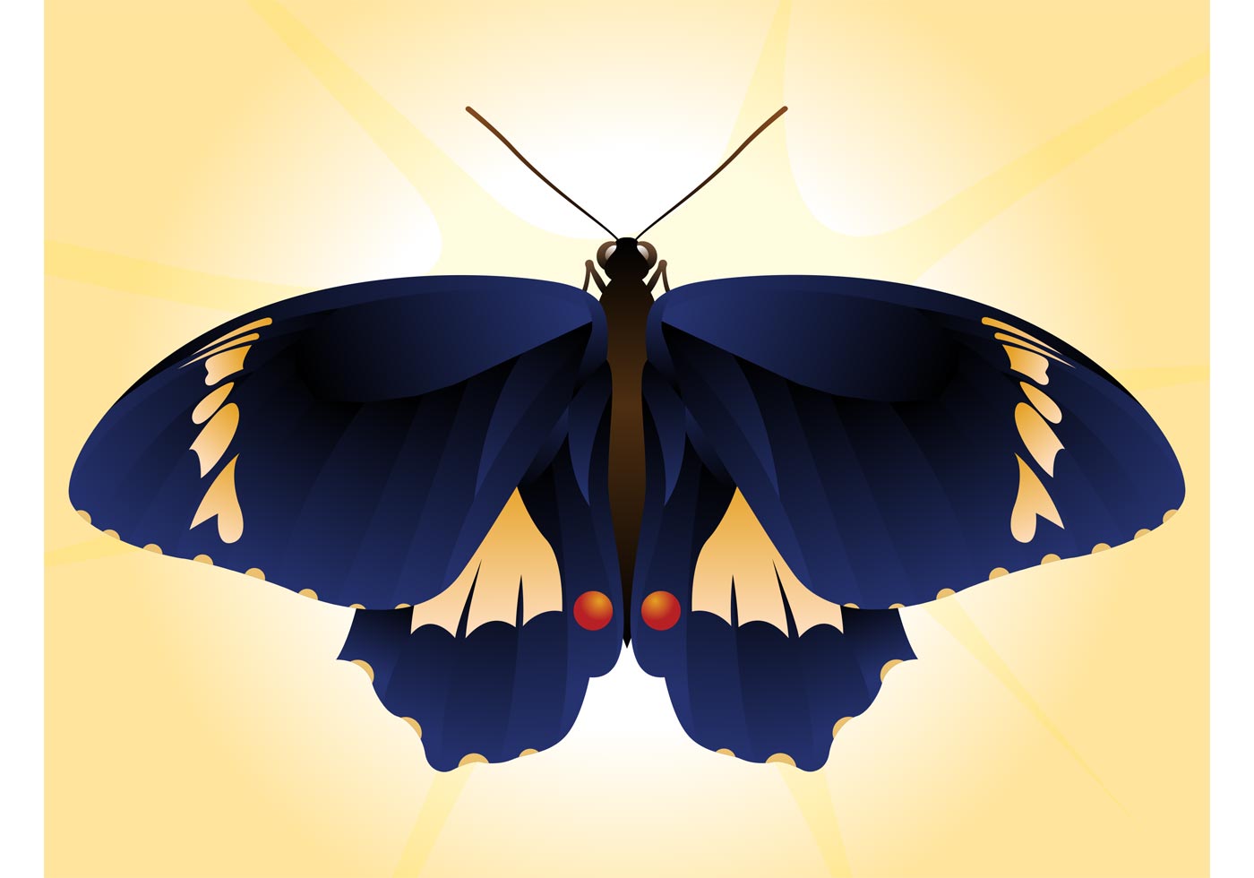 Free Free 71 Butterfly Svg Vector SVG PNG EPS DXF File