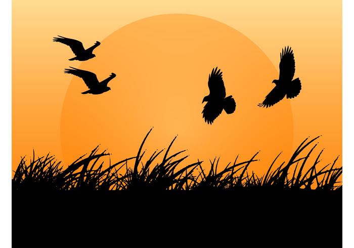 Birds Vector Birds Vector
