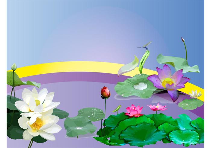 Water Plants Water Plants