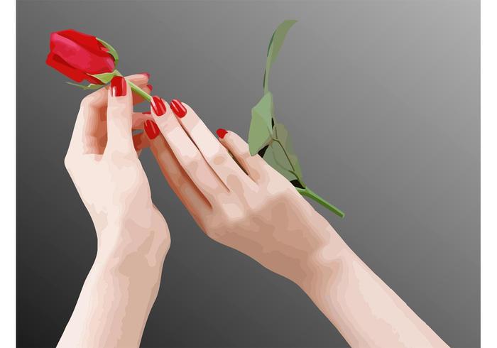 Hands Rose Vector Hands Rose Vector