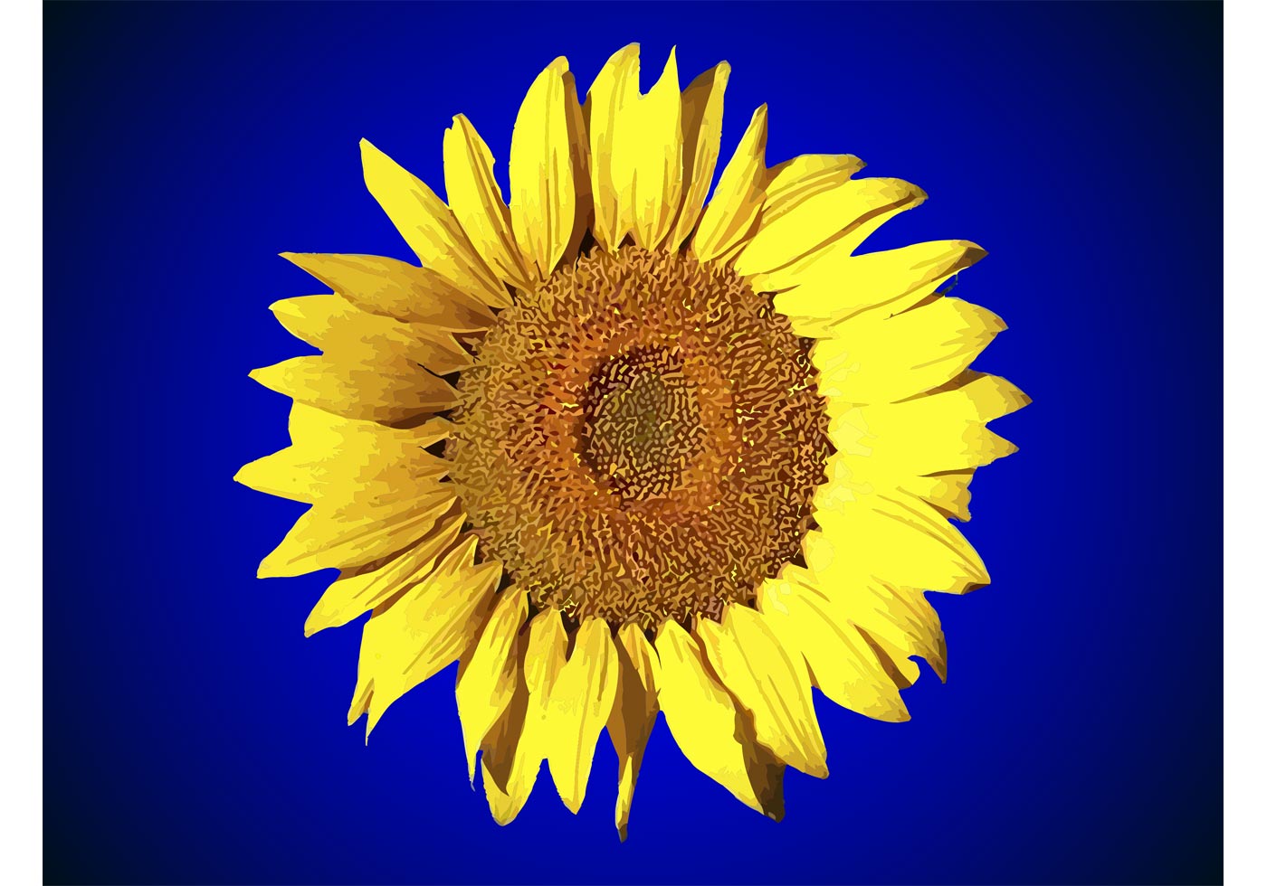 Download Sunflower Free Vector Art - (11371 Free Downloads)