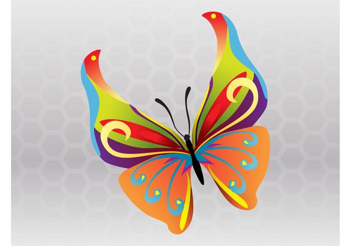 Spring Butterfly Vector Spring Butterfly Vector