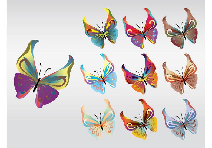 Colorful Butterflies Vector Colorful Butterflies Vector