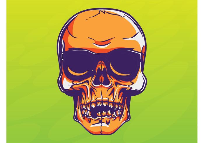 Cool Skull Vector Cool Skull Vector