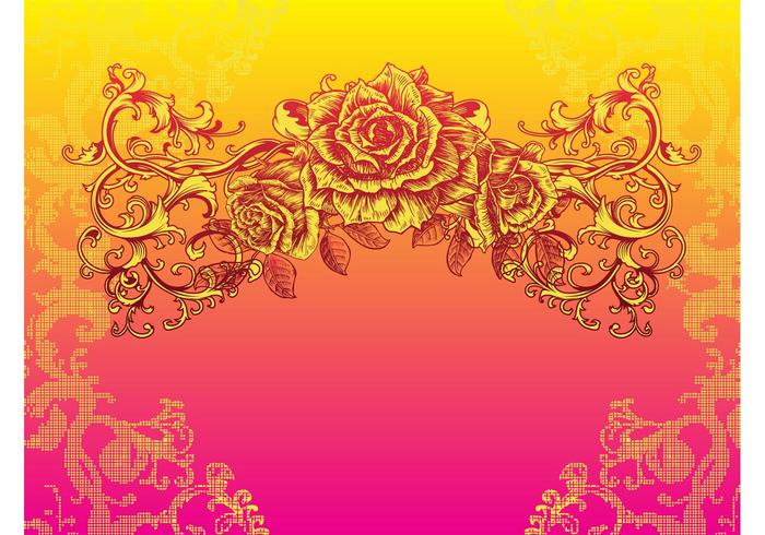 Rose Background Rose Background