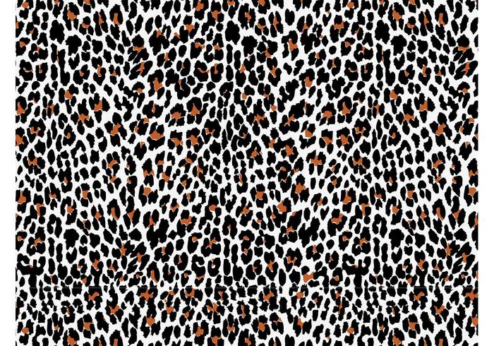 Animal Print Vector Animal Print Vector