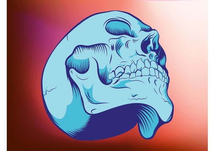 Skull Graphics Skull Graphics
