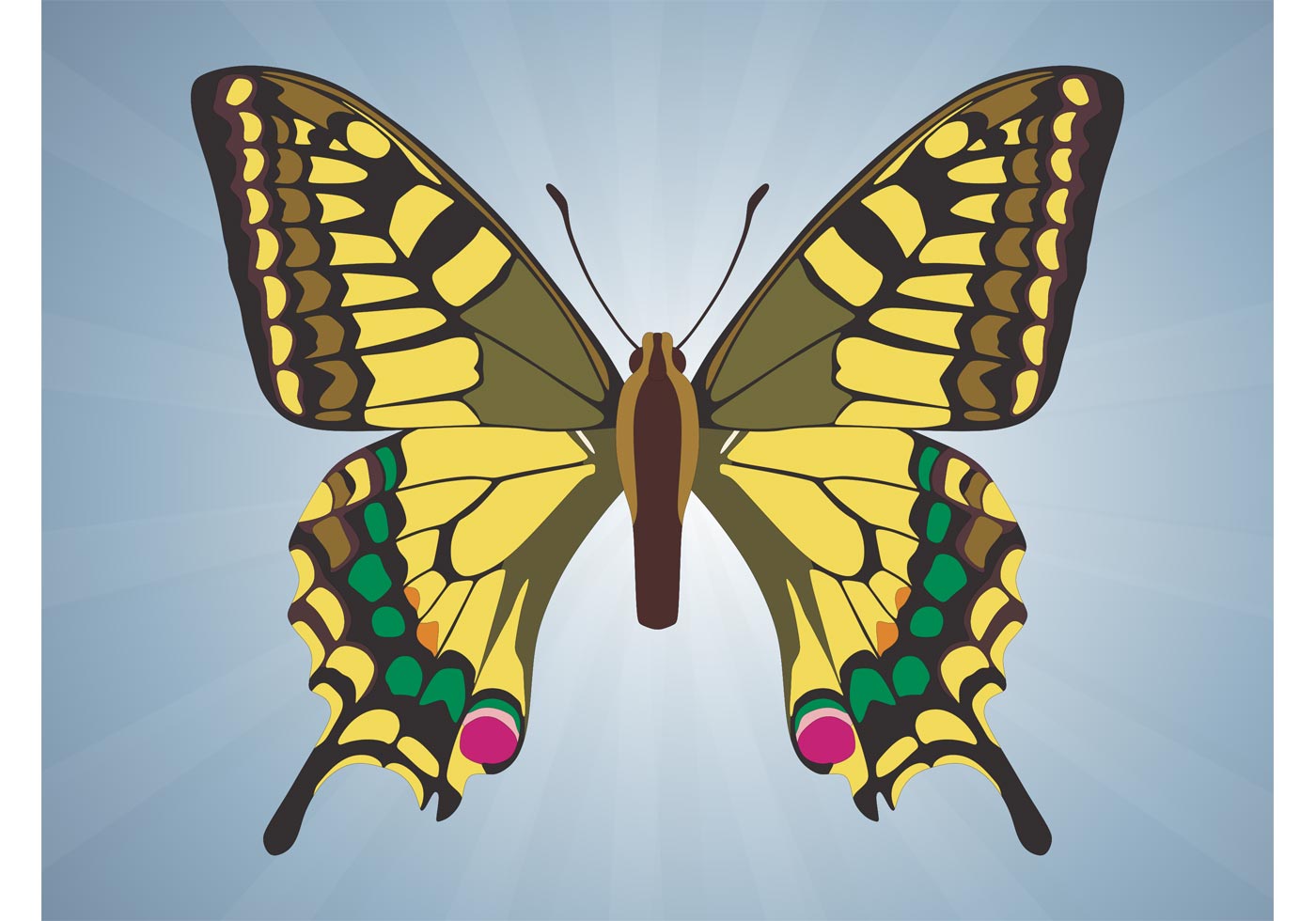 Free Free Butterfly Svg Vector Free 630 SVG PNG EPS DXF File