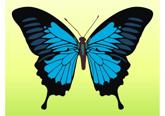 Pretty Butterfly Vector Pretty Butterfly Vector