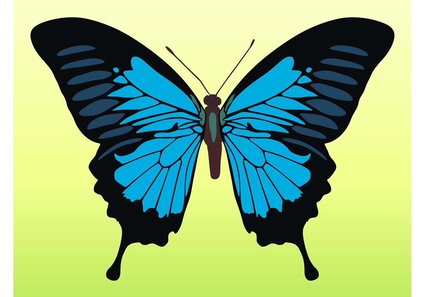 Download Pretty Butterfly Vector - Download Free Vector Art, Stock Graphics & Images