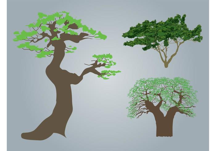 Trees Trees