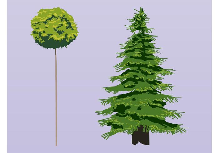 Trees Vectors Trees Vectors
