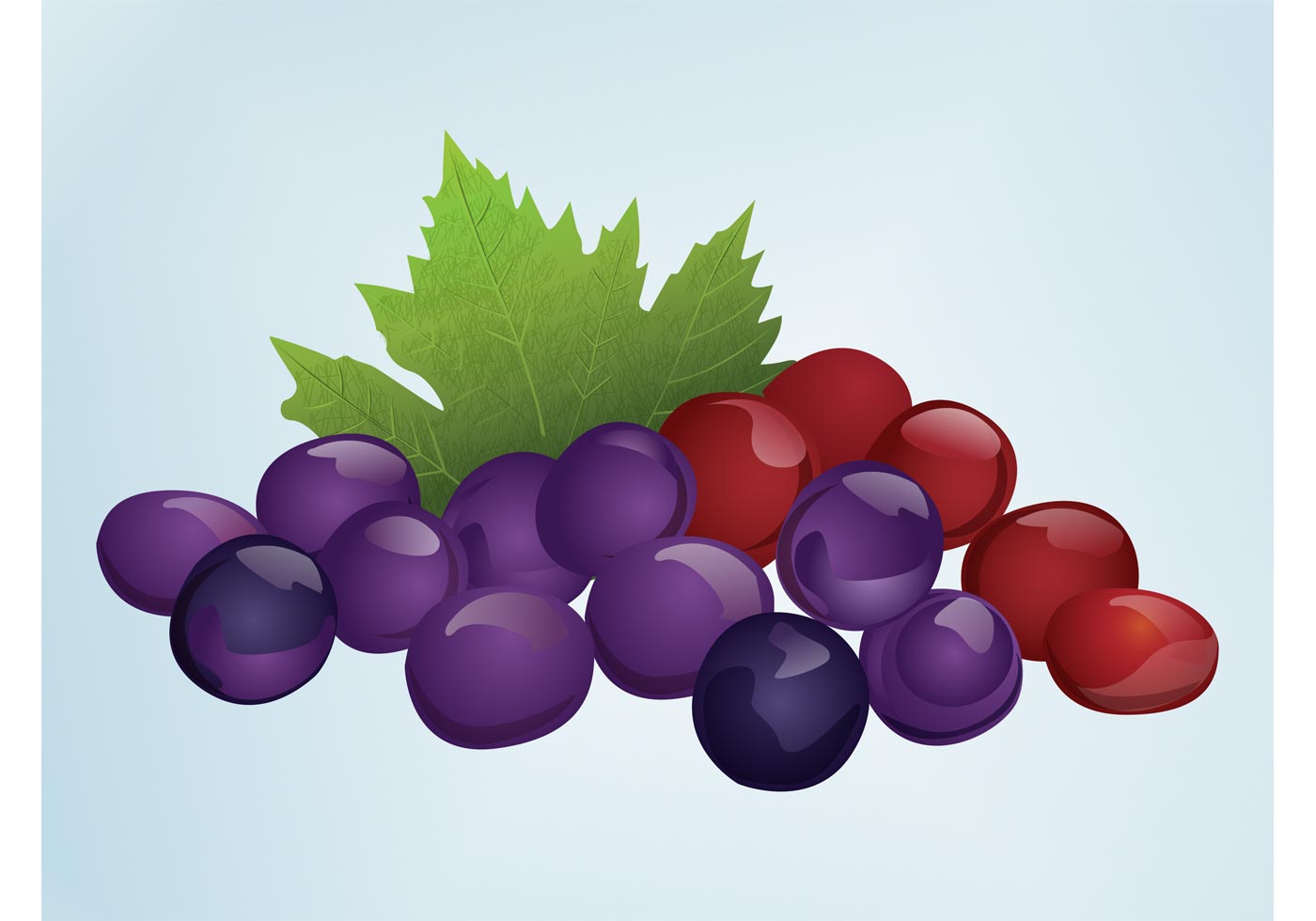 Grapes Download Free Vector Art, Stock Graphics & Images