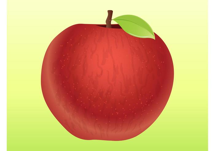 Apple Vector Apple Vector