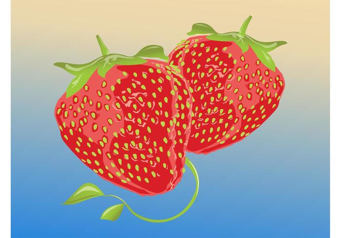 Strawberries Strawberries