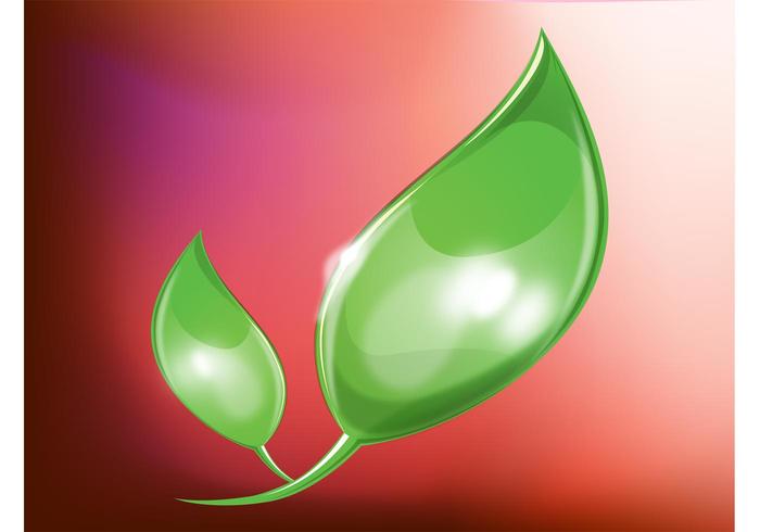 Leaves Leaves