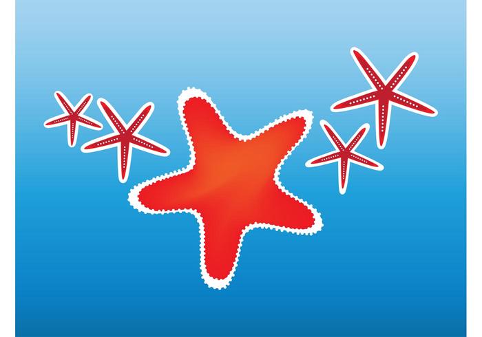 Starfish Clip Art Starfish Clip Art
