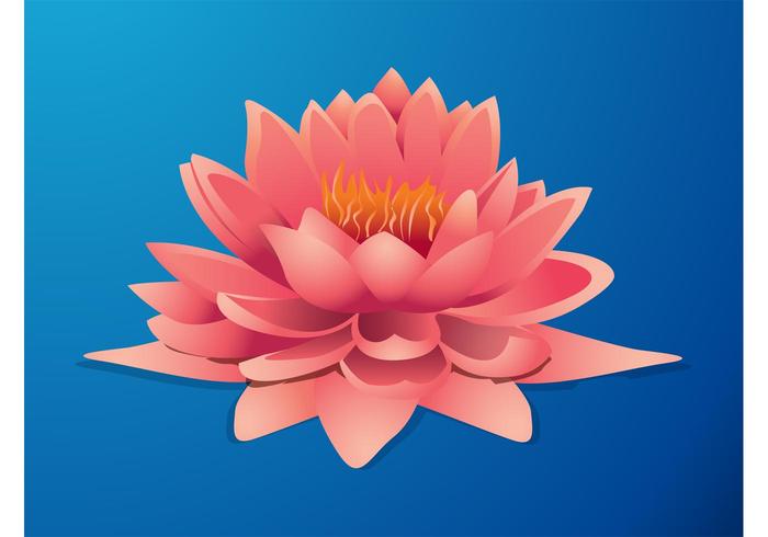 Lotus Graphics Lotus Graphics