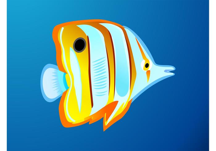 Tropical Fish Tropical Fish