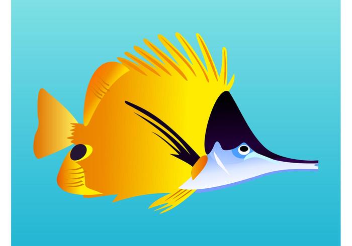 Exotic Fish Vector Exotic Fish Vector
