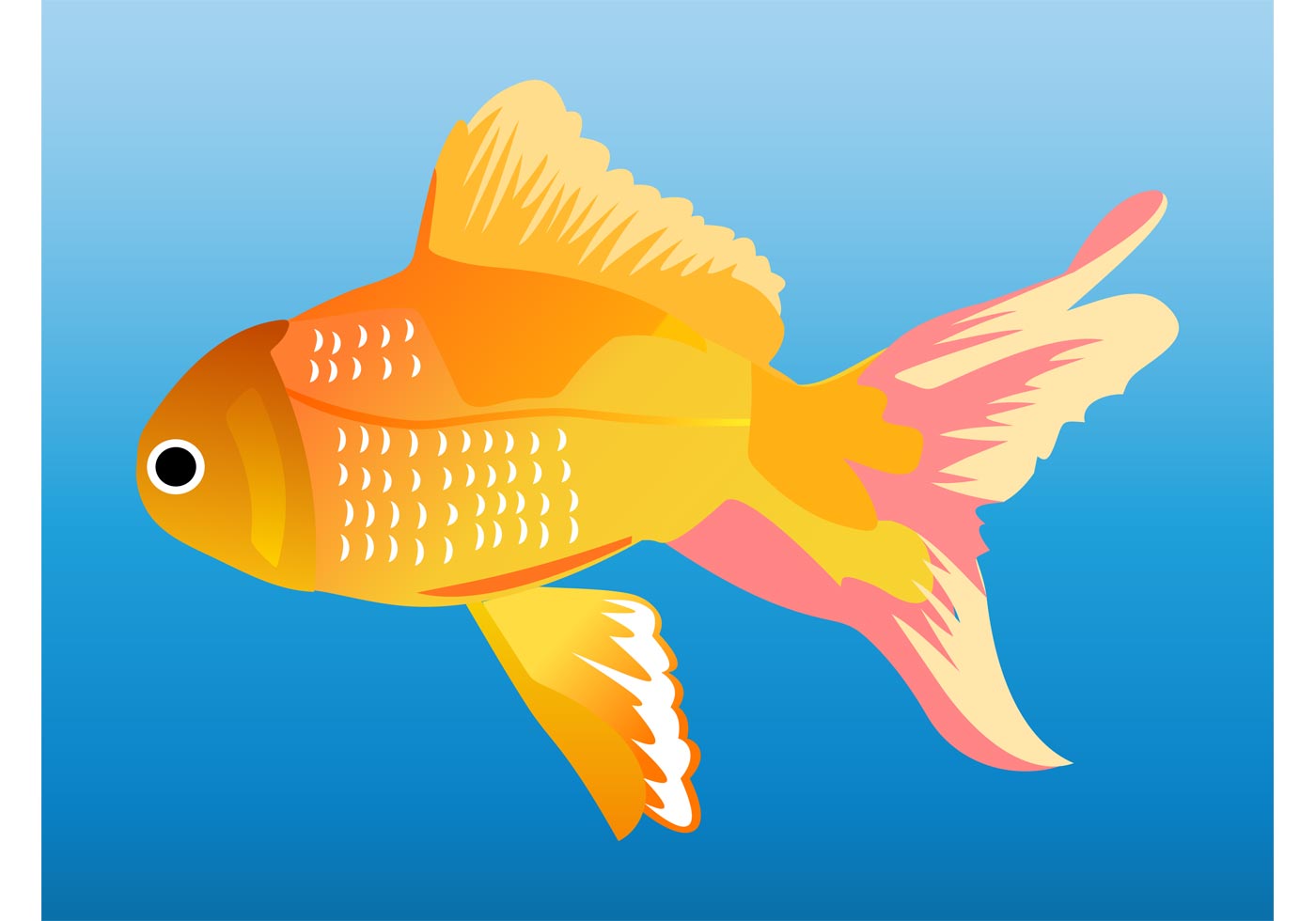 Download Goldfish Graphics - Download Free Vector Art, Stock ...