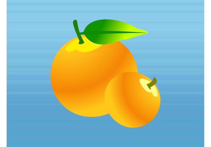 Peaches Peaches