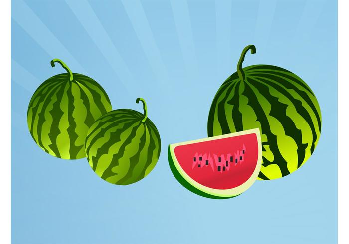 Watermelons Watermelons