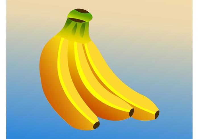 Bananas Vector Bananas Vector