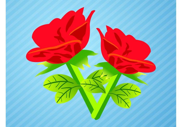 Roses Graphics Vector Roses Graphics Vector