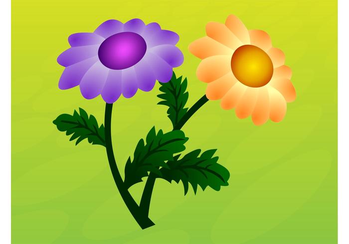 Floral Vector Graphics