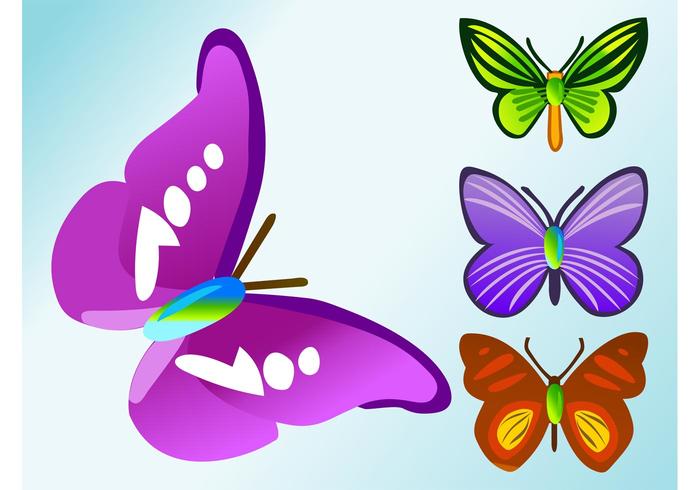 Butterflies Vector Butterflies Vector