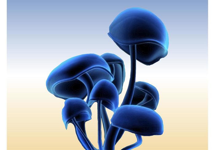 Psychedelic Mushrooms Psychedelic Mushrooms