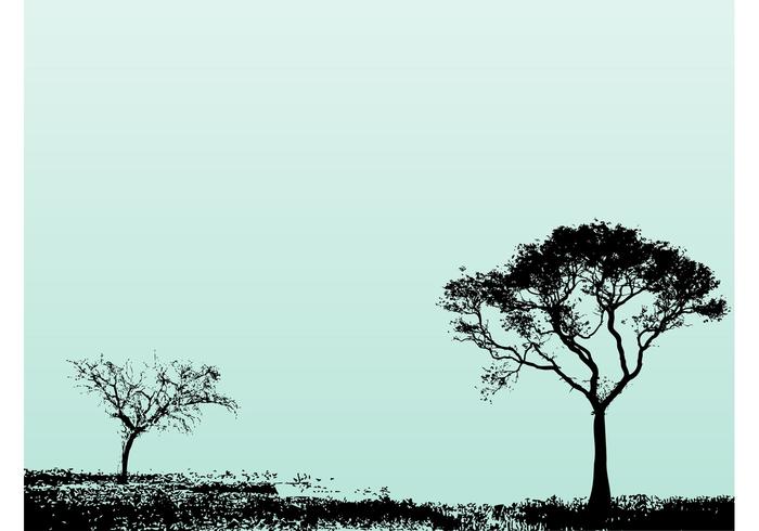Trees Landscape Trees Landscape