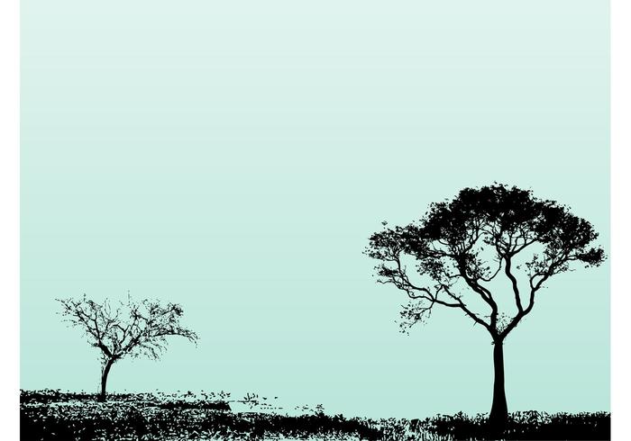 Trees Landscape