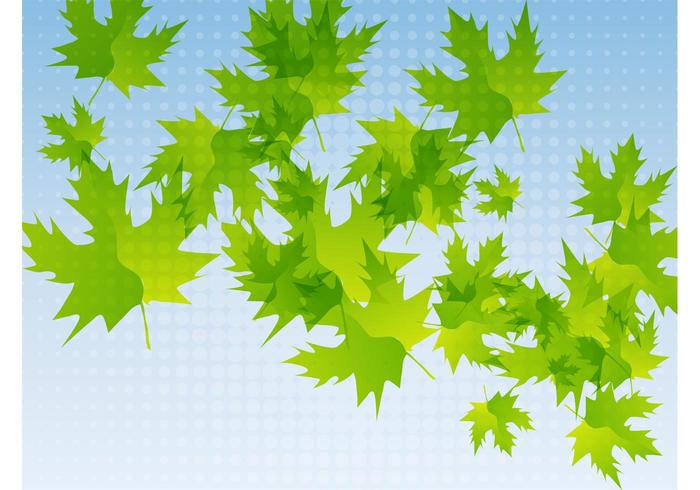 Fresh Leaves Fresh Leaves