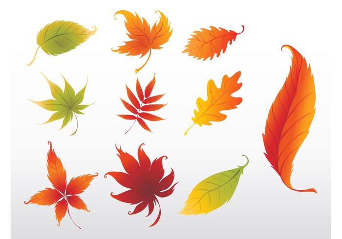 Swirling Leaves Graphics