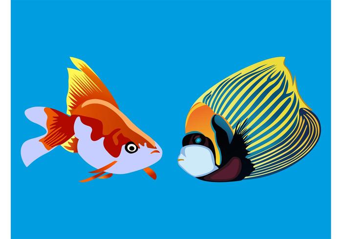 Tropical Fish Vector Tropical Fish Vector