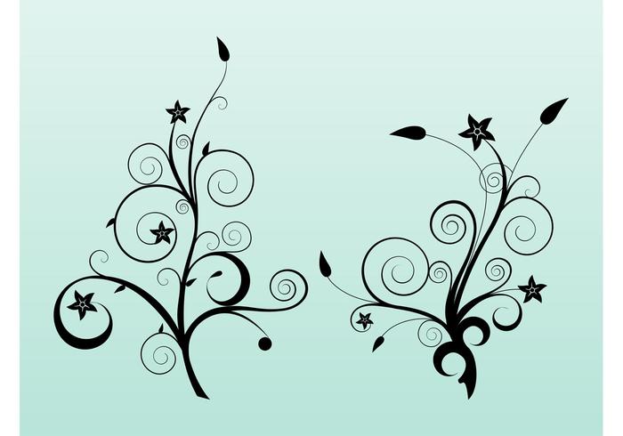 Star Flowers Vector