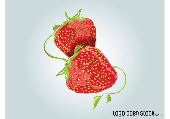 Strawberries Vector Strawberries Vector