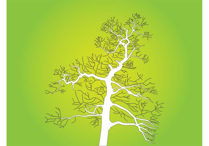 Tree Outlines Tree Outlines