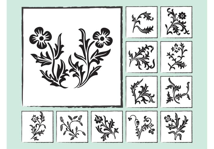 Flowers Cards Flowers Cards